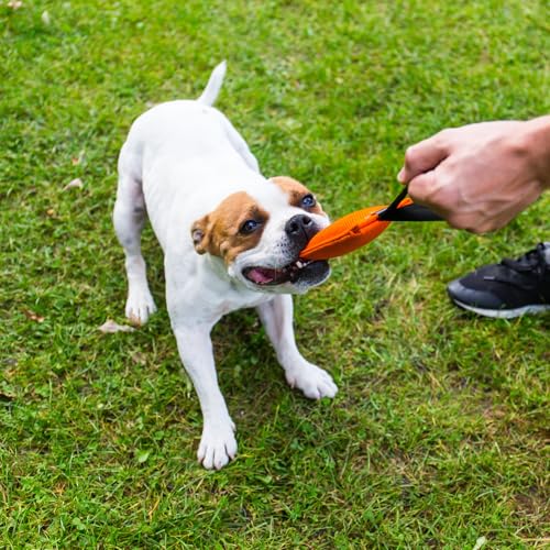 Bull Fit Baumwolle-Nylon Beisswurst für Hunde, 30 cm mit Handschlaufe - Sehr Robustes Hundespielzeug für Training IGP IPO Schutzhund, Hundesport, Tauziehen und Zerrspiele mit Hund