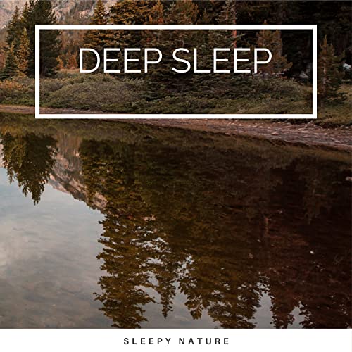 Pure Natural Songs for REM Dreams pt. 1 (feat. Rain Recorders, Nature And Bird Sounds & The Net Chords)