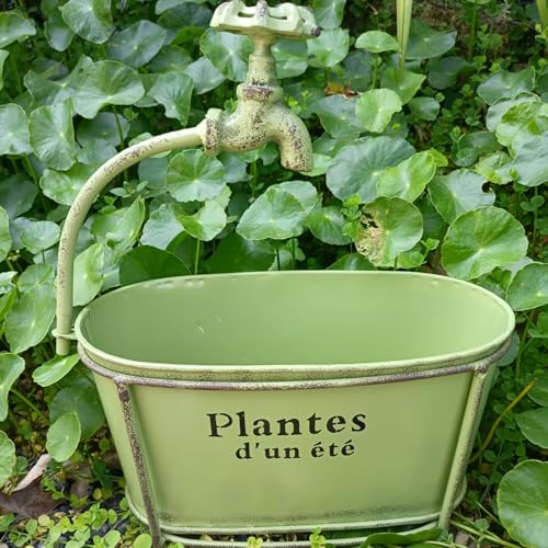 Pots de fleurs ovales en fer rouillé pour décoration de jardin - 5