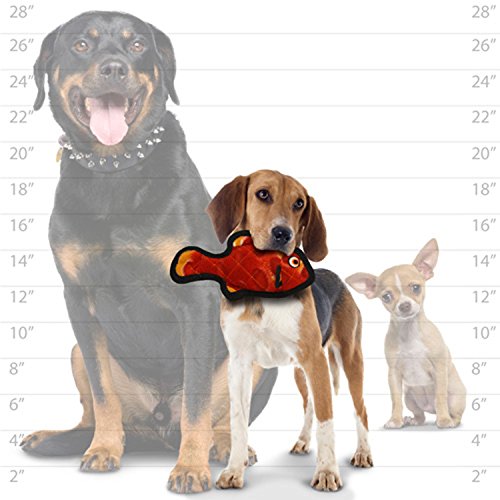 TUFFY Ocean Creature Junior Fish, Small Durable Dog Toy, Red - Thumbnail 4