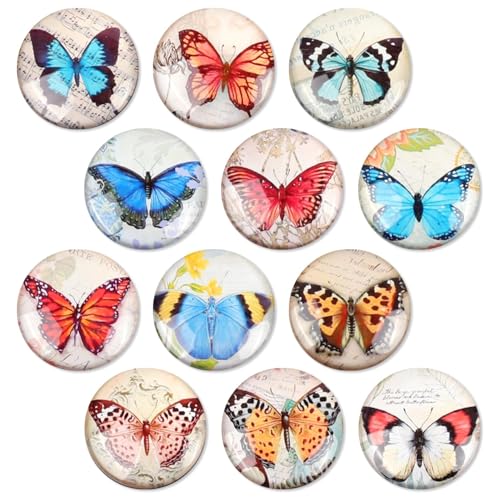 12 Pack Butterfly Fridge Magnets 3D Glass Notice Board Office Magnets Set Vintage Butterfly Small Fridge Magnets Decorative Refrigerator Magnets for Home Office Whiteboard