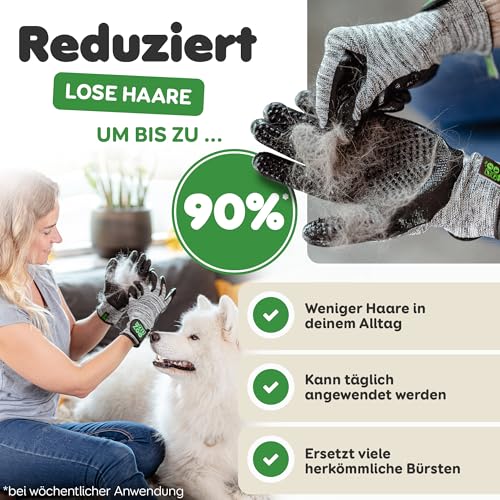 DR Zoo Fellpflegehandschuh für Hund, Katze oder Pferd - (1 Paar, Gr. L) - Handschuh zur Fellpflege aller Hundehaare und Katzenhaare - Waschhandschuh für jedes Tierhaar - Hunde Handschuhe als Bürste