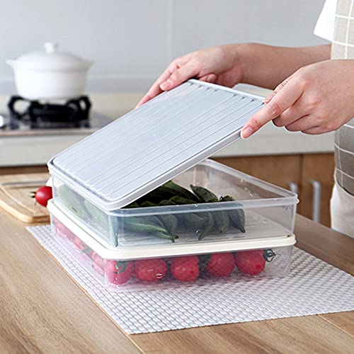 Amazon.com: VALINK Flat Plastic Box for Refrigerator