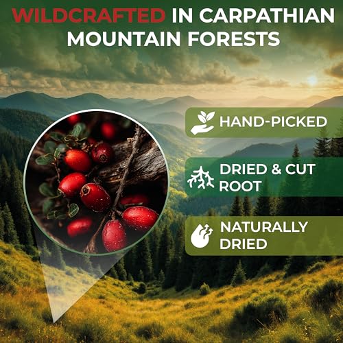 Image of 2 oz. Barberry Root Herbal Tea (Berberis vulgaris) - 56g Dried Barberry Root Tea Raiz de Agracejo