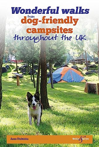 Wonderful walks from dog-friendly campsites