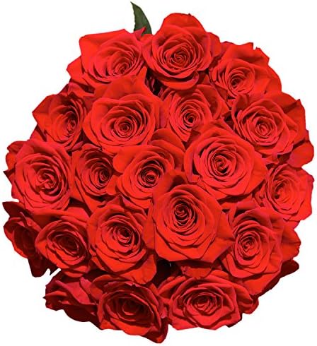 Next Day Delivery by Wednesday March 29th- 100 Red Roses- Beautiful Gift