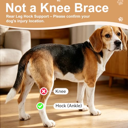 Image of Dog Leg Brace for Back Leg Support Adjustable Hock & Ankle Compression Wrap