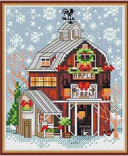 Broderie point de croix kit débutant magasin de fruits, cadeau Noël idéal