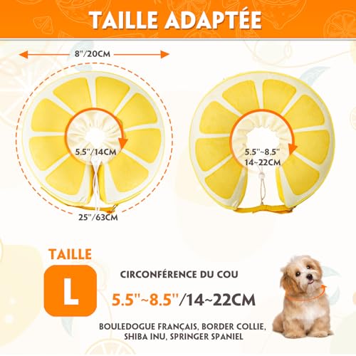 Collerette pour chiens et chats gonflable : fini le stress du plastique - 3
