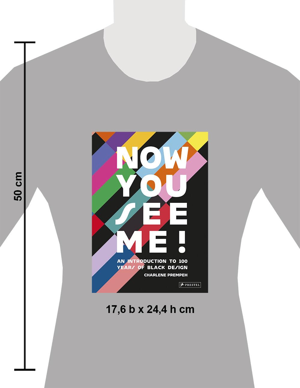 Now You See Me!: An Introduction to 100 Years of Black Design
