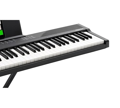 Amazon.com: Alesis 88 Key Keyboard Piano with 480 Sounds, Speakers