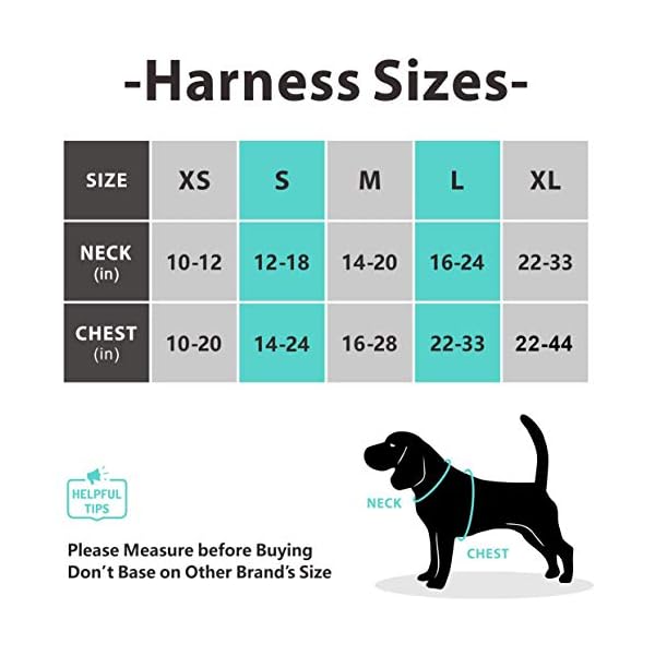 PoyPet-No-Pull-Dog-Harness-Release-at-Neck-Reflective-Adjustable-No-Choke-Pet-Vest-with-Front-Back-2-Leash-Attachments-Soft-Control-Training-Handle-for-Small-Medium-Large-Dogs Reflective No Pull Dog Harness