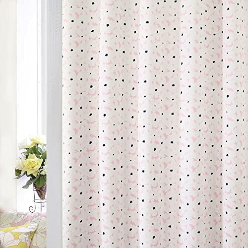 VJ[e J[e AEgbg Ռ 1 k  [XJ[e 4Zbg y1Ռ𒴂 SՌ100 J[e2 + 悢~[[XJ[e2 4Zbgz h fM h ۉ UVJbg `LH 