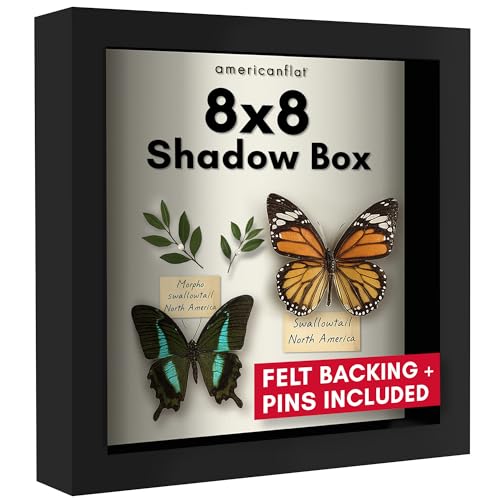 Americanflat 8x8 Shadow Box Frame