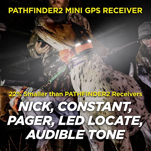 Image of Dogtra Pathfinder 2 Mini - 4 Mile GPS Tracker Dog Hunting Training Collar with Remote, Rechargeable E-Fence Training Collar for Small Medium Large Sport Hunting Dogs, Electric Collar for Professionals