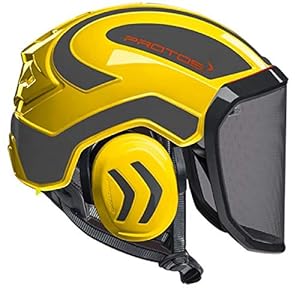 Pfanner Protos Integraler Arboristen-Helm