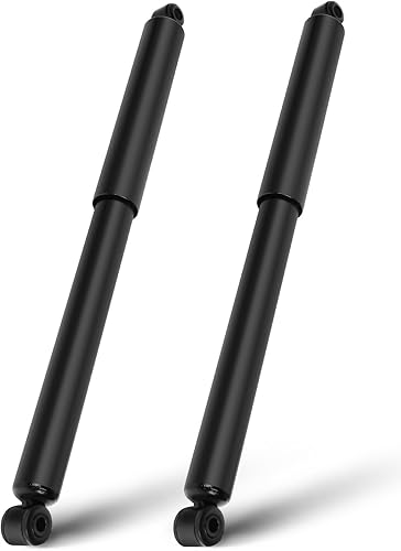 SCITOO - Amortiguador trasero para Ford se adapta a 1990 1991 1992 1993 1994 1995 1996 para Ford para amortiguadores F-150 344079 Struts - Juego de