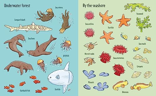 First Sticker Book Under the Sea (First Sticker Books) - Image 3