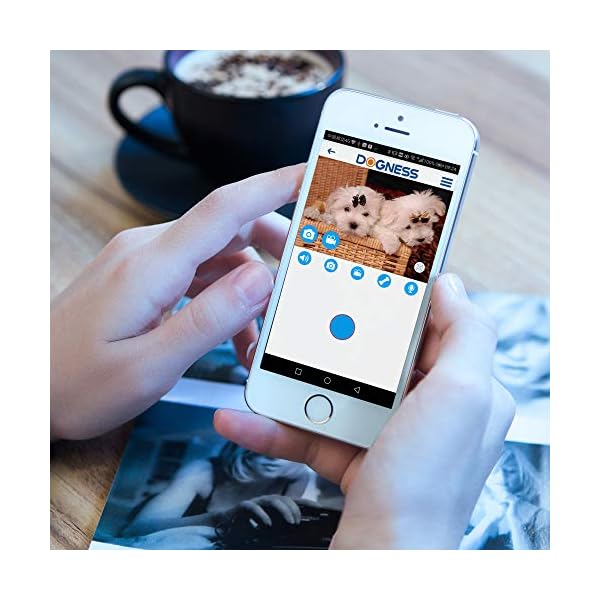 Pet Treat Dispenser with Camera