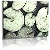 Exklusive Unikate zum Spitzenpreis direkt vom Profi-Fotografen. Brillante Farbeigenschaften mit unbeschreiblicher Farbtiefe.