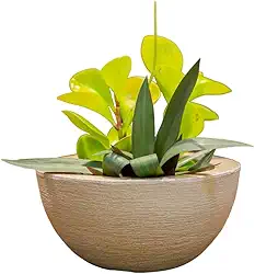 VASOS POLIETILENO BACIA DECORATIVO P/PLANTAS/JARDINS/ESCRITÓRIOS LUXO (BEGE)