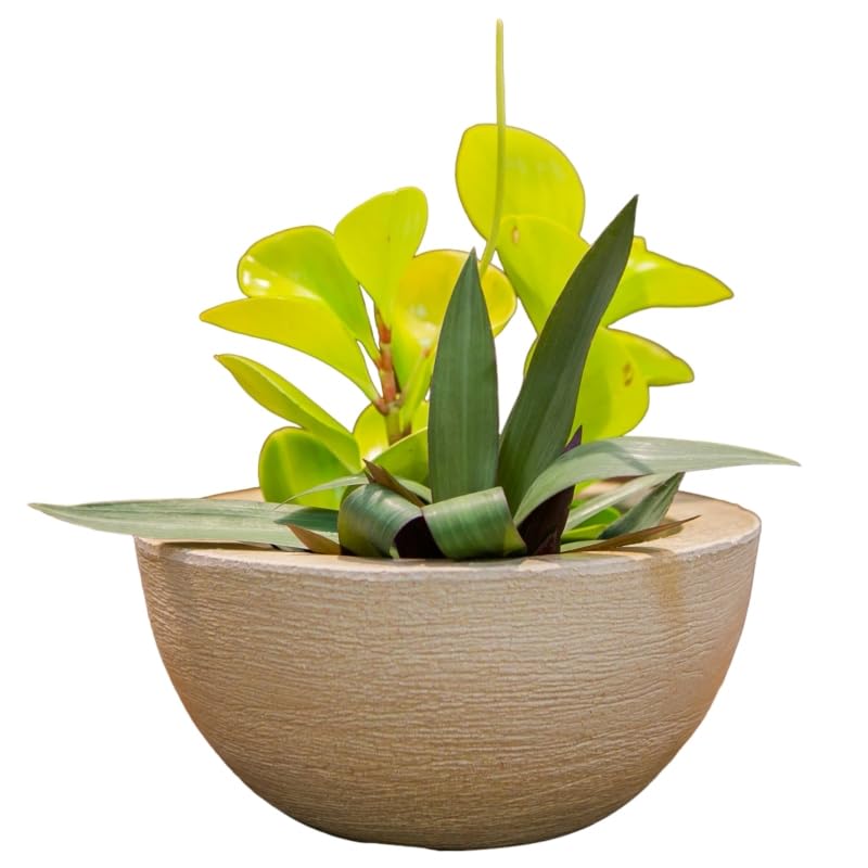 VASOS POLIETILENO BACIA DECORATIVO P/PLANTAS/JARDINS/ESCRITÓRIOS ...