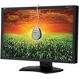 NEC Multisync P241W-BK 24' Widescreen Professional Graphics Desktop Monitor