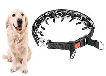 大型犬用首輪 大型犬・超大型犬用 スタッズ首輪 カウレザー 最高級本革