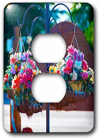 3dRose (lsp_99703_6) A cute plant hanger with fake flowers in Dixie Downs - 2 Plug Outlet Cover image 2