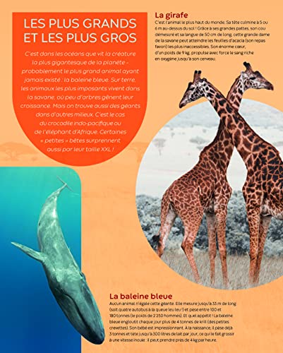 Les records des animaux – vue 2