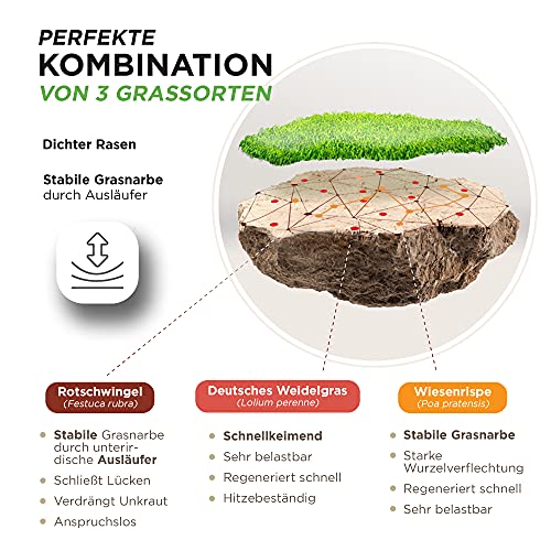 Foto von Rasensamen schnellkeimend 10kg = 400m² Sport und Spiel Herbst Premium - SEHR GUT getestet - trockenresistent | Ideal für Neuansaat und Nachsaat