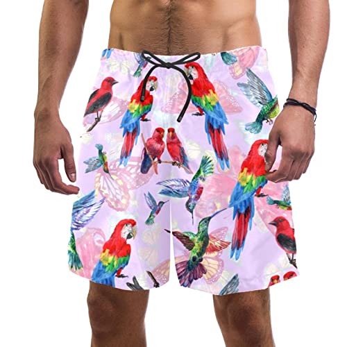 Maillots de bain pour hommes multicolores imprimé colibri short de plage léger