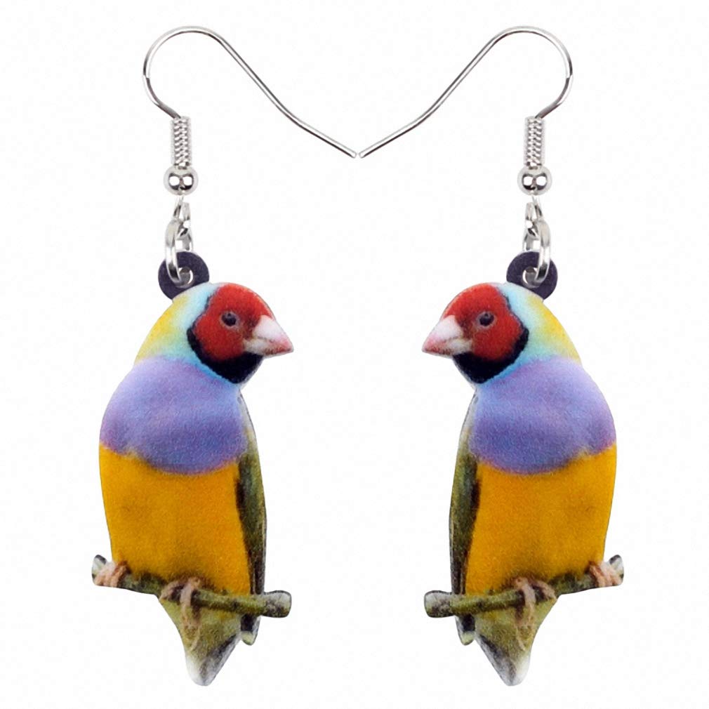 10 Best Finch Bird Earrings Top Picks for Bird Lovers Hummingbirds Plus