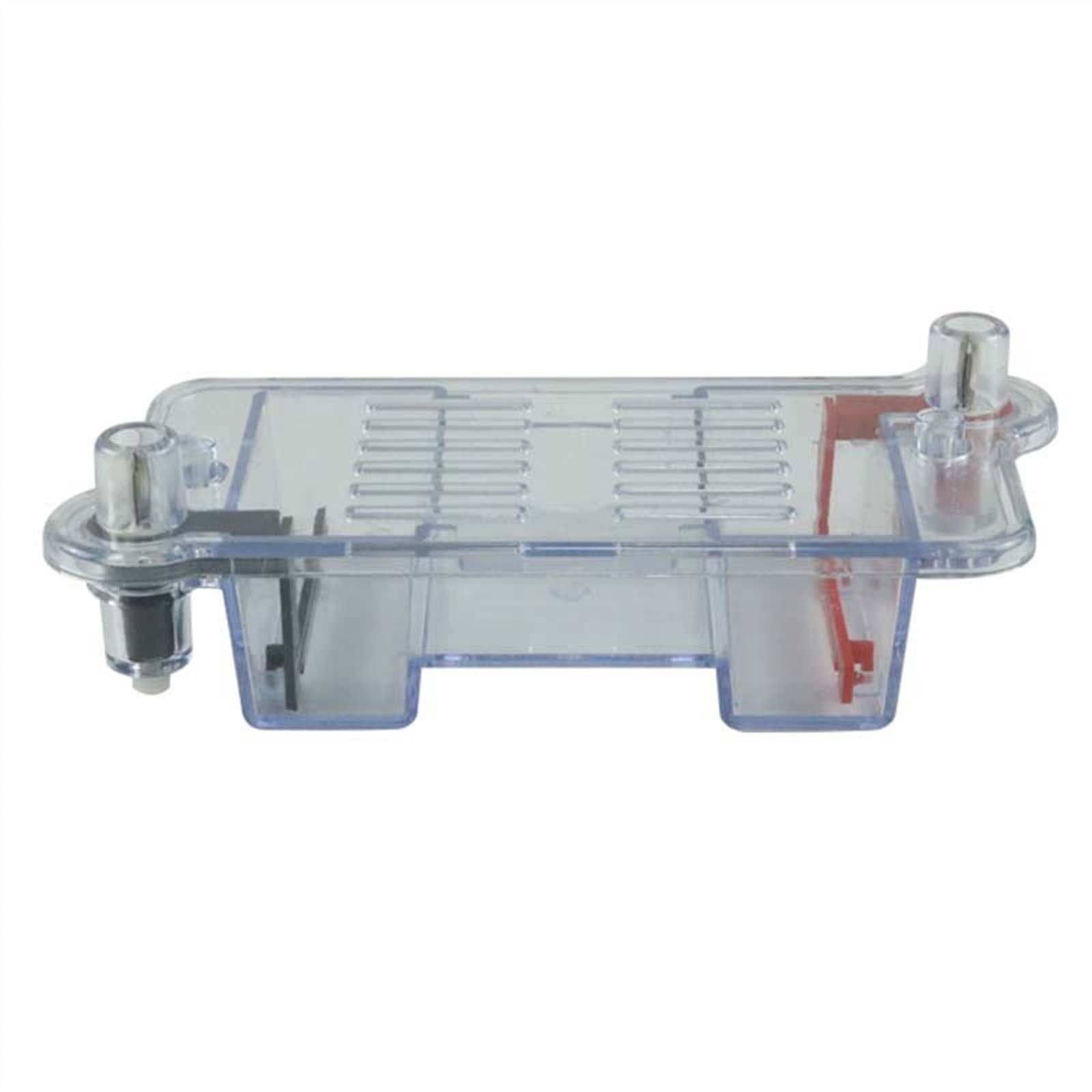 Gel per elettrodi, Strumento biologico for serbatoio for elettroforesi orizzontale con elettrodo non platino