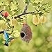 VICASKY Simulated Bird Nest Hanging Birdhouse Shelter for Outdoor Indoor Use Natural Look Handwoven Design Safe Hideaway for Birds 8.26X2.75X2.55 Inches