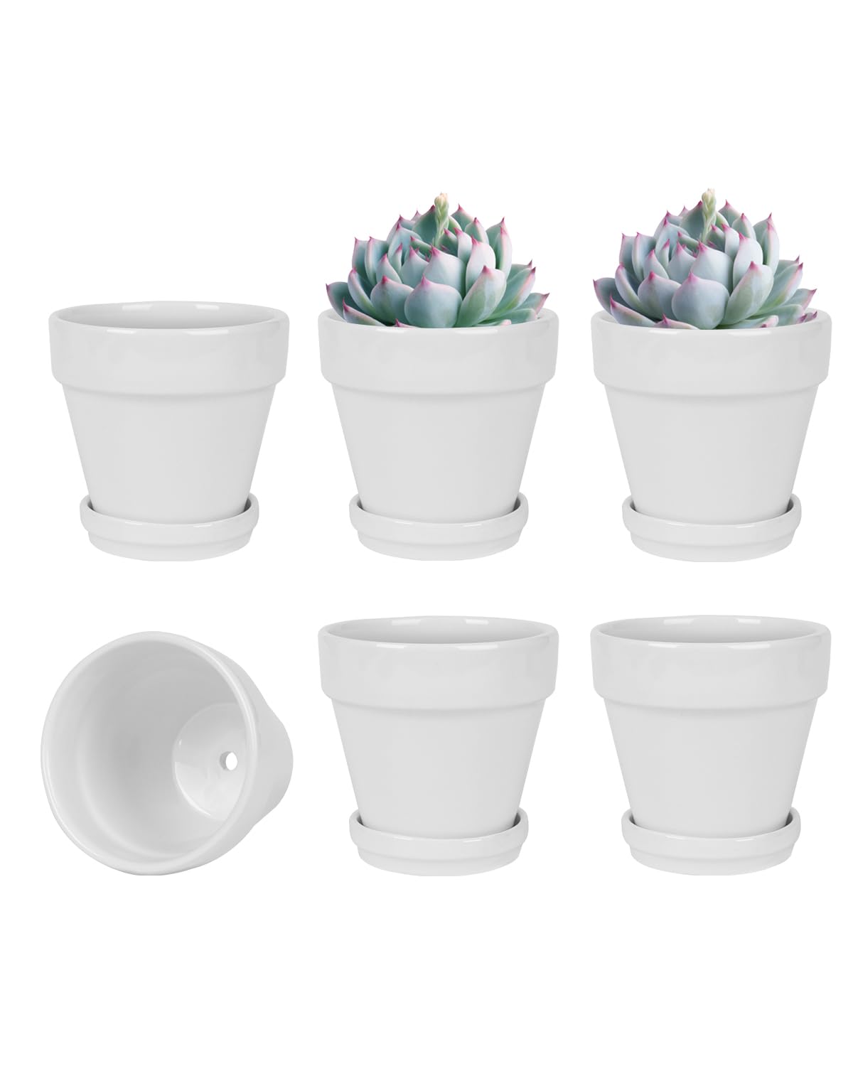 vensovo Lot de 6 Petits Pots de Fleurs en Terre Cuite avec Soucoupe pour Plantes d'intérieur et d'extérieur Blanc 10,16 cm