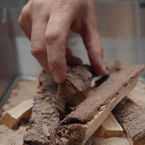 SKOTTI Pool, Edelstahl Fettauffangschale für Alten Grill, schützt vor Fett & Verschmutzungen Grill Zubehör