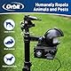 Orbit 62100 Yard Enforcer Bewegungsaktivierter Sprinkler mit Tag- und Nacht-Erkennungsmodi, Schwarz