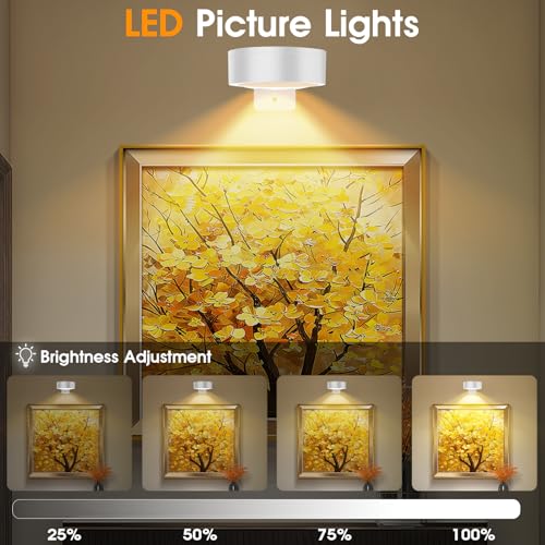 Image of 13 RGB Color Changing Led Art Display Light for Picture Frame,Rechargeable Battery Operated Led Painting Light with Remote Control Dimmable & Timer,3Pack White