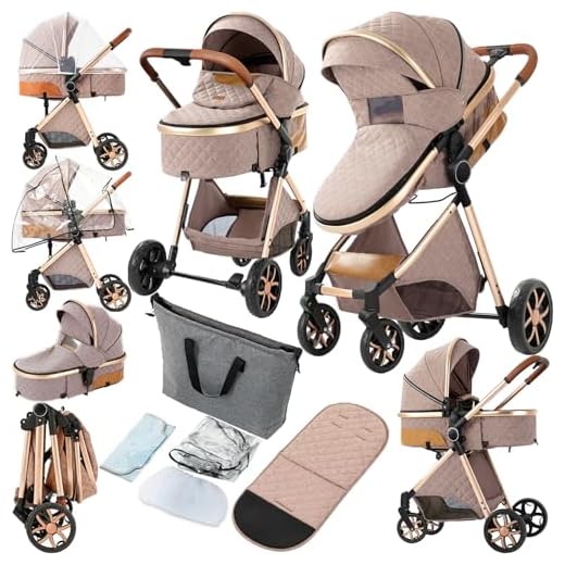 Convertible 2 in 1 Baby Stroller