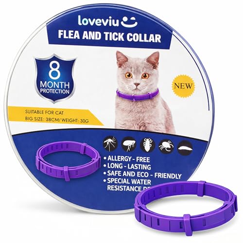 Collar Antiparasitario Gatos - 100% Natural – Protección 8 Meses contra Pulgas, Garrapatas, Mosquitos & Piojos – 38 cm, Impermeable y Ajustable, Uso al Aire Libre (Morado)