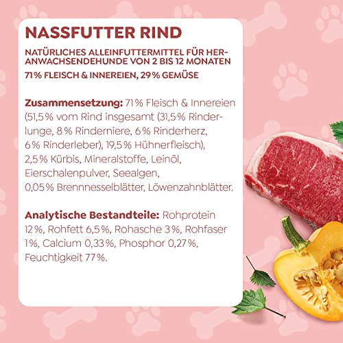 WOW Hundefutter nass Junior mit Rind, 6x800g | reichhaltiges Nassfutter für Welpen Aller Rassen I Beste Qualität mit viel frischem Fleisch, Kürbis I hohe Akzeptanz & getreidefrei