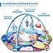 Baby Gym Play Mat, 8-in-1 Ocean Theme Tummy Time Mat & Ball Pit, Washable Baby Activity Play Mat for Visual, Hearing, Sensory, Motor Development, Baby Toys Gift for Toddler Infant 0-3-6-9-12-18 Months
