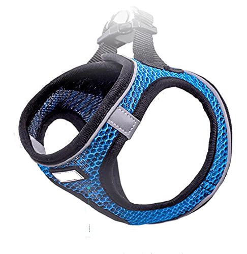 See full amazon price history chart for KUTKUT Adjustable Breathable & Reflective Vest Harness and Leash Set I Air-Mesh Step-in, Escape Proof | for Medium Dogs and Cats (Size XL, Chest Size:47-54cm, Pet Weight: 7.5-10Kg) KUTKUT Adjustable Breathable & Reflective Vest Harness and Leash Set I Air-Mesh Step-in, Escape Proof | for Medium Dogs and Cats (Size XL, Chest Size:47-54cm, Pet Weight: 7.5-10Kg) (B094W68NGJ) Amazon Price History, Amazon Price Tracker