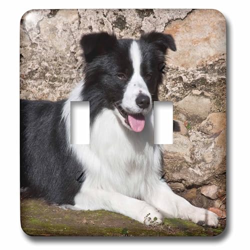 Interrupteur double bouton double commande motif Border Collie - 2