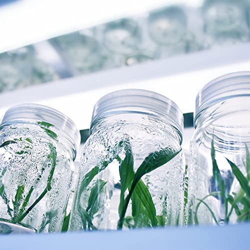 Active Grow T8/T12 High Output Ballast Bypass 4Ft Led Grow Lamp - For Indoor Plants, Microgreens, Veg & Bloom - 22W Led Tube - Sun White Full Spectrum High Cri 95 - Direct Wire 120-277V - 4-Pack #TOP6