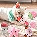 VIPNAJI Welpenspielzeug -15pcs ​Langlebiges Hundespielzeug für Welpen/kleine und mittlere Hunde, Plüsch Hundeseilspielzeug -Kauspielzeug Naturbaumwolle & Ungiftig & sicher & Unzerstörbar , Rosa