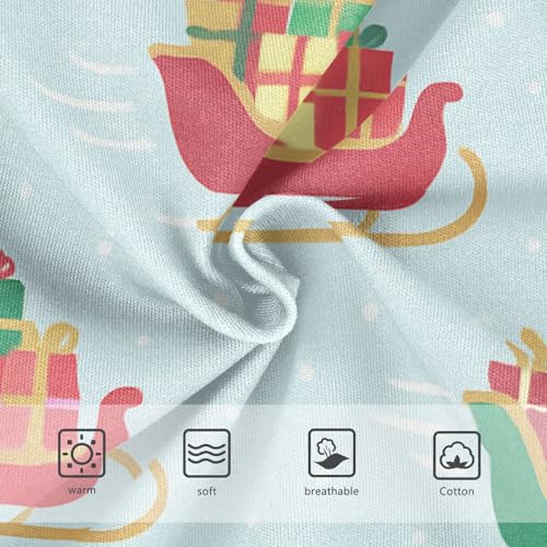 Girls' Underwear Breathable Material Organic Underwear for Girls Sleighs in Sizes 2T,3T, 4T, 5T, 6Y and 8Y3