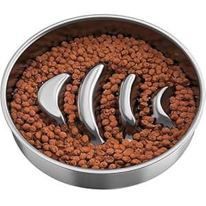 Slow Feeder Dog Bowls 304 Stainless Steel, 2-4 Cups Metal Dog Bowl, Fish Bones Design Dog Bowl for Small Medium Large Breeds, Extent Meal Time, Eating Healthy