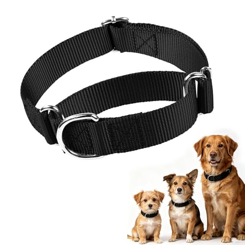 Martingal Halsband  Die 15 besten Produkte im Vergleich - Reiterguide  Ratgeber